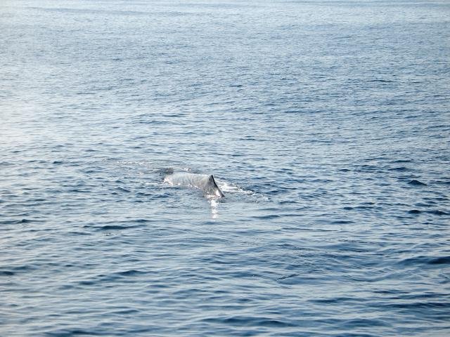 Urlaub in Norwegen 2006